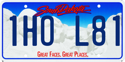 SD license plate 1HOL81