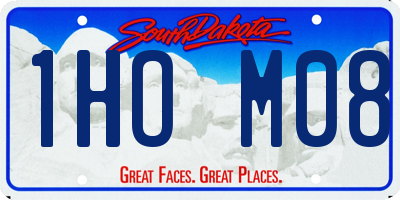 SD license plate 1HOM08