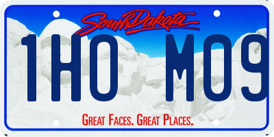 SD license plate 1HOM09