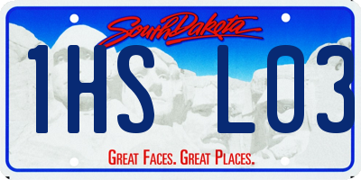 SD license plate 1HSL03