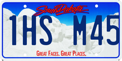 SD license plate 1HSM45