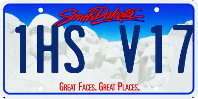 SD license plate 1HSV17