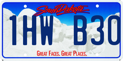 SD license plate 1HWB30