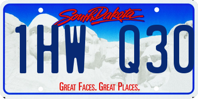 SD license plate 1HWQ30