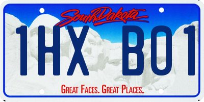 SD license plate 1HXB01