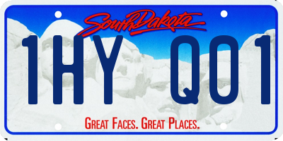 SD license plate 1HYQ01
