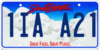 SD license plate 1IAA21
