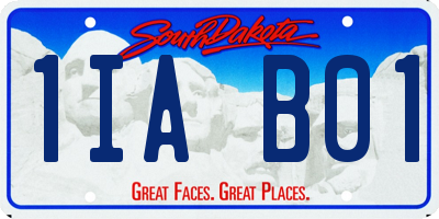 SD license plate 1IAB01