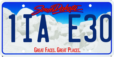 SD license plate 1IAE30
