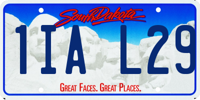 SD license plate 1IAL29