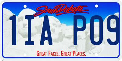 SD license plate 1IAP09