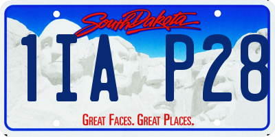 SD license plate 1IAP28