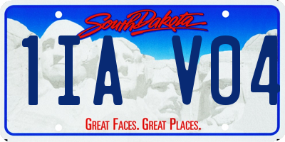 SD license plate 1IAV04