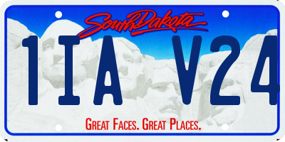 SD license plate 1IAV24