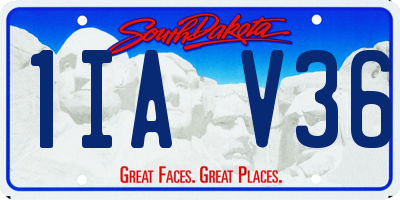 SD license plate 1IAV36