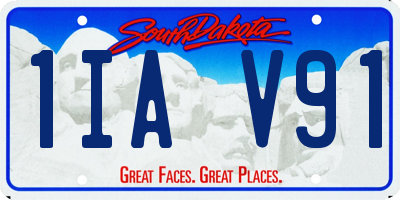 SD license plate 1IAV91