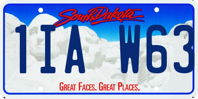 SD license plate 1IAW63