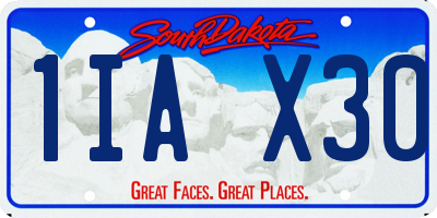 SD license plate 1IAX30