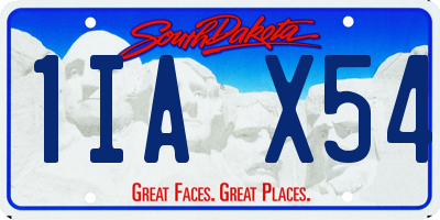 SD license plate 1IAX54