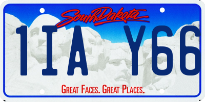 SD license plate 1IAY66