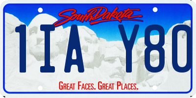 SD license plate 1IAY80