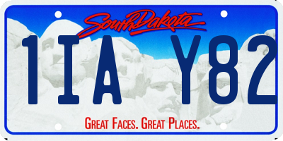 SD license plate 1IAY82