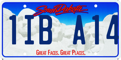 SD license plate 1IBA14