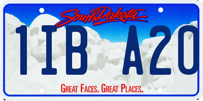 SD license plate 1IBA20