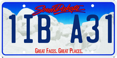 SD license plate 1IBA31