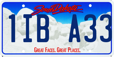 SD license plate 1IBA33