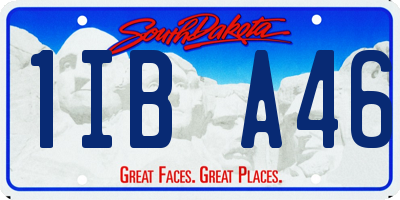 SD license plate 1IBA46