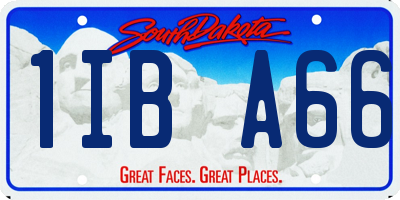 SD license plate 1IBA66
