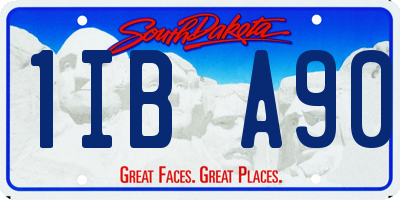 SD license plate 1IBA90