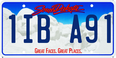 SD license plate 1IBA91