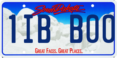 SD license plate 1IBB00