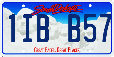 SD license plate 1IBB57