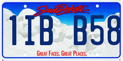 SD license plate 1IBB58