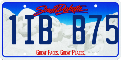 SD license plate 1IBB75
