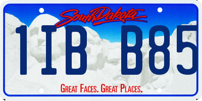 SD license plate 1IBB85