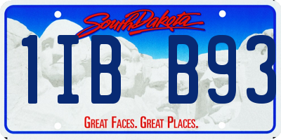SD license plate 1IBB93