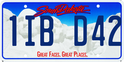 SD license plate 1IBD42