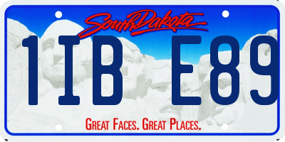 SD license plate 1IBE89