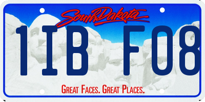 SD license plate 1IBF08