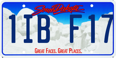 SD license plate 1IBF17