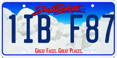 SD license plate 1IBF87