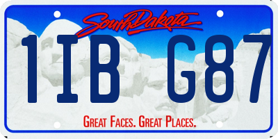 SD license plate 1IBG87