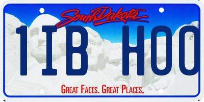 SD license plate 1IBH00