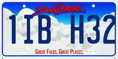 SD license plate 1IBH32