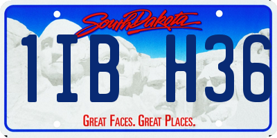 SD license plate 1IBH36