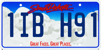 SD license plate 1IBH91